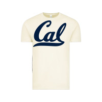 Vintage Arctic california Vintage Tee - linhVisuals