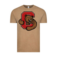 Cornell Vintage Tee | Teevron