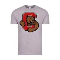 Vintage Zinc cornell Vintage Tee - linhVisuals