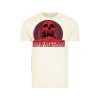 Vintage Arctic crumbling castle   king gizzard and the lizard wizard Vintage Tee - linhVisuals