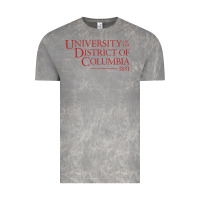 Cloud Rock University of the District of Columbia Vintage Tee - linhVisuals