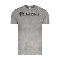 Cloud Rock Harding University Vintage Tee - linhVisuals