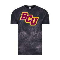 Cloud Black bethune cookman Vintage Tee - linhVisuals