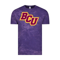 Cloud Purple bethune cookman Vintage Tee - linhVisuals