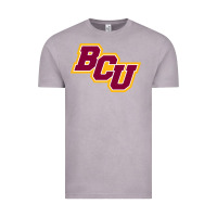 Vintage Zinc bethune cookman Vintage Tee - linhVisuals