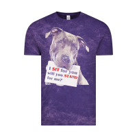 Cloud Purple pitbull t  shirt i sit for you will you stand for me t  shirt Vintage Tee - linhVisuals