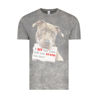 Cloud Rock pitbull t  shirt i sit for you will you stand for me t  shirt Vintage Tee - linhVisuals