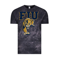 Cloud Black fiu panthers Vintage Tee - linhVisuals