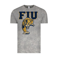 Cloud Rock fiu panthers Vintage Tee - linhVisuals