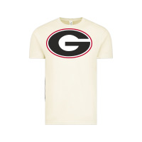 Vintage Arctic georgia a Vintage Tee - linhVisuals