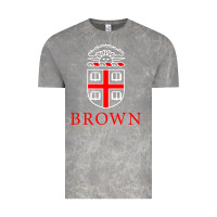 Cloud Rock brown university Vintage Tee - linhVisuals