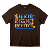 Chocolate Brown down right perfect Heavy Core Tee - JahusDesignShop