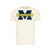 Vintage Arctic michigan Vintage Tee - linhVisuals