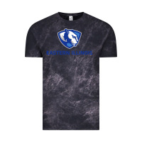 Cloud Black eastern illinois panthers Vintage Tee - linhVisuals