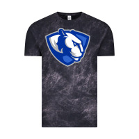 Cloud Black eastern illinois panthers Vintage Tee - linhVisuals