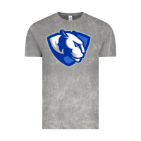 Cloud Rock eastern illinois panthers Vintage Tee - linhVisuals