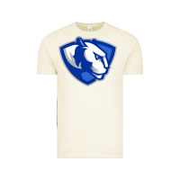 Vintage Arctic eastern illinois panthers Vintage Tee - linhVisuals