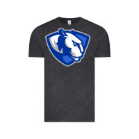 Vintage Black eastern illinois panthers Vintage Tee - linhVisuals