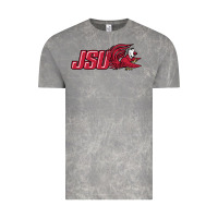 Cloud Rock jacksonville state gamecocks Vintage Tee - linhVisuals