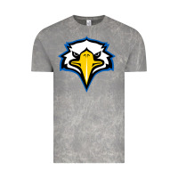 Cloud Rock morehead state eagles Vintage Tee - linhVisuals