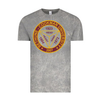 Cloud Rock bethune cookman Vintage Tee - linhVisuals