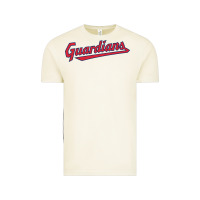 Vintage Arctic GUARDIANS Vintage Tee - linhVisuals