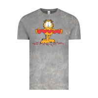 Cloud Rock garfiel Vintage Tee - linhVisuals