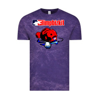 Cloud Purple limp bizkit 35 Vintage Tee - linhVisuals