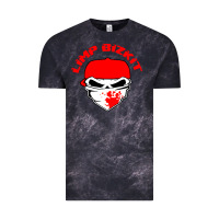 Cloud Black limp bizkit 28 Vintage Tee - linhVisuals