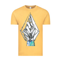 Volcom Vintage Tee | Teevron