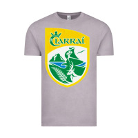Vintage Zinc kerry  gaa Vintage Tee - linhVisuals