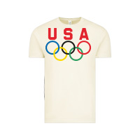 Vintage Arctic OLYMPIC RINGS Vintage Tee - linhVisuals