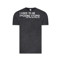I Used To Be F Cking Stupid Vintage Tee | Teevron
