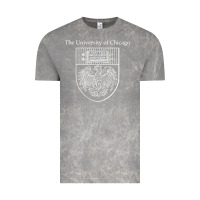 Cloud Rock chicago Vintage Tee - linhVisuals