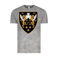 Cloud Rock the-northampton-saints-pen Vintage Tee - linhVisuals