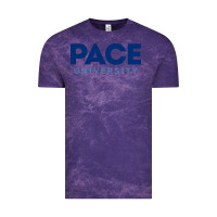 Cloud Purple Pace University Vintage Tee - linhVisuals