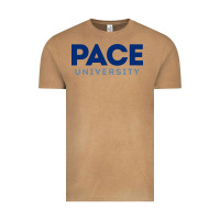 Vintage Camel Pace University Vintage Tee - linhVisuals