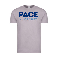 Vintage Zinc Pace University Vintage Tee - linhVisuals