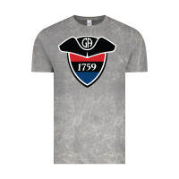 Cloud Rock germantown academy Vintage Tee - linhVisuals