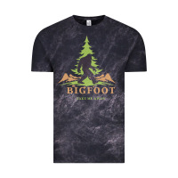 Cloud Black bigfoot t  shirt bigfoot take me away t  shirt Vintage Tee - linhVisuals
