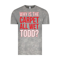 Cloud Rock why is the carpet all wet todd Vintage Tee - linhVisuals