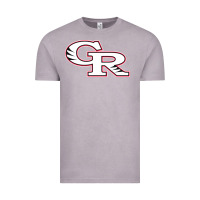 Vintage Zinc glen ridge high school Vintage Tee - linhVisuals