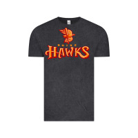 Vintage Black the-boise-hawks-fan Vintage Tee - linhVisuals