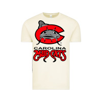 Vintage Arctic the-carolina-mudcats-merch Vintage Tee - linhVisuals
