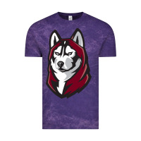 Cloud Purple bloomsburg huskies Vintage Tee - linhVisuals