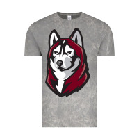 Cloud Rock bloomsburg huskies Vintage Tee - linhVisuals
