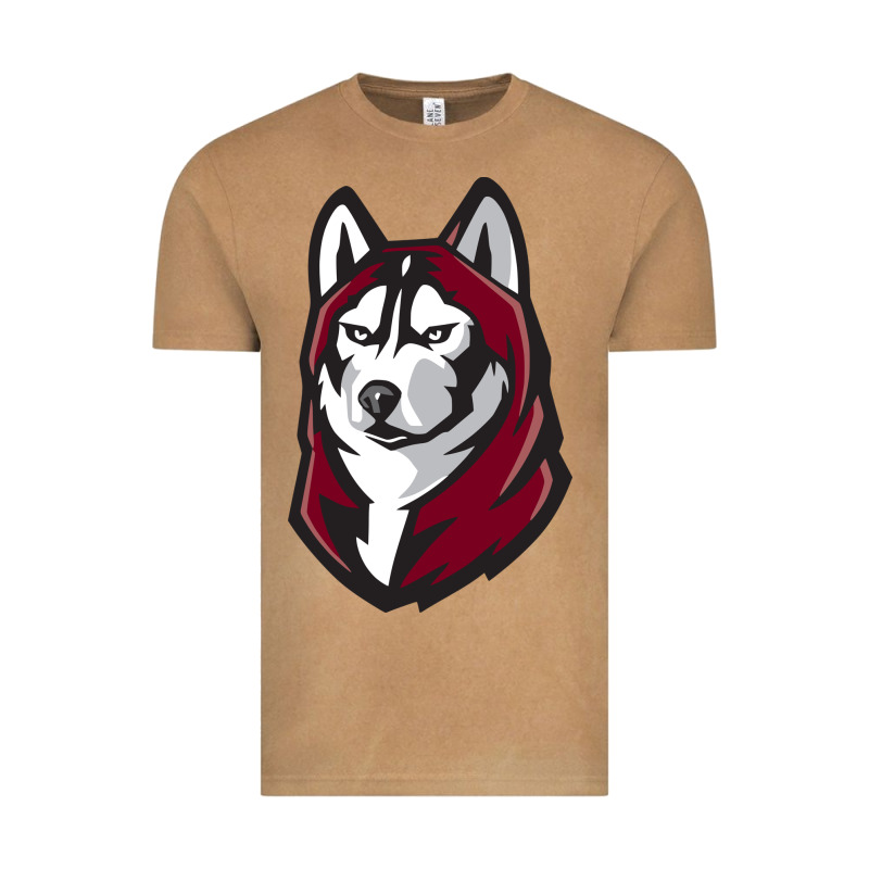 Bloomsburg Huskies Vintage Tee by linhVisuals | Teevron