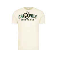 Vintage Arctic cal poly Vintage Tee - linhVisuals