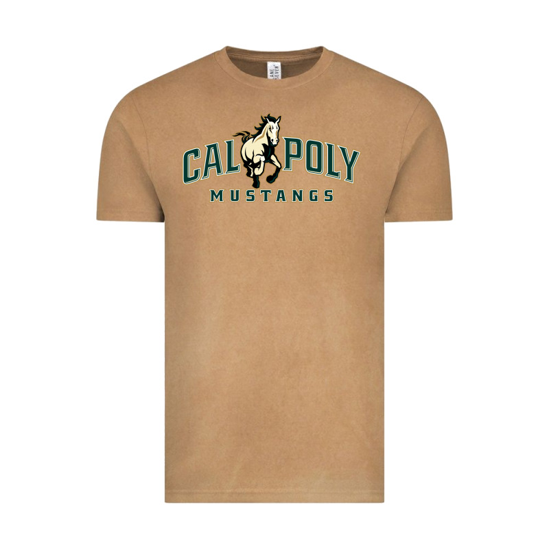 Cal Poly Vintage Tee by linhVisuals | Teevron