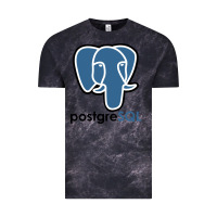 Cloud Black Postgresql Vintage Tee - linhVisuals